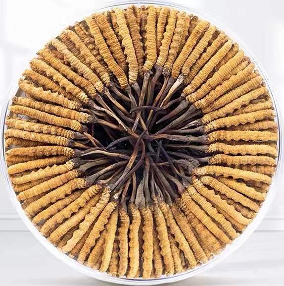 永安坝街道冬虫夏草回收